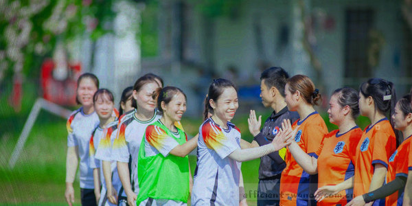盾牌与锁结合的抽象安全图标